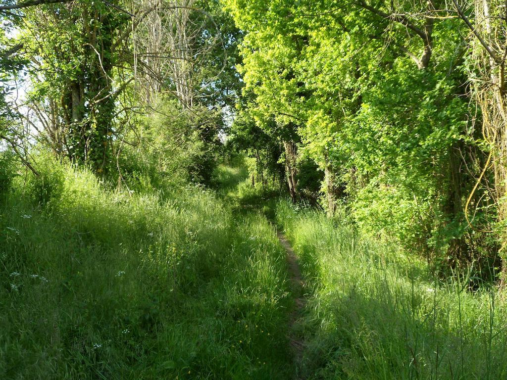 La Cle Des Chants Tauxigny Bagian luar foto